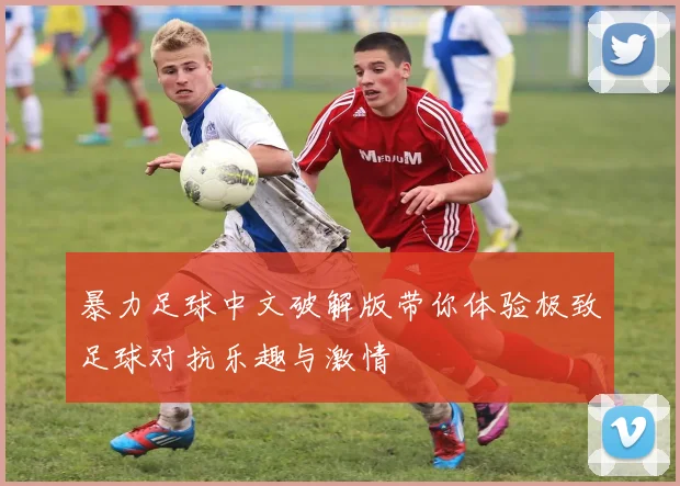 暴力足球中文破解版带你体验极致足球对抗乐趣与激情
