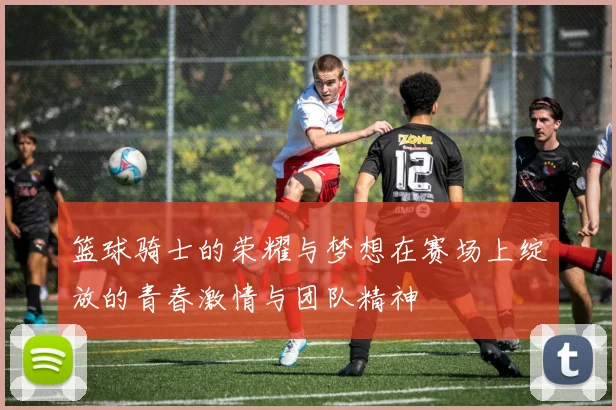 篮球骑士的荣耀与梦想在赛场上绽放的青春激情与团队精神