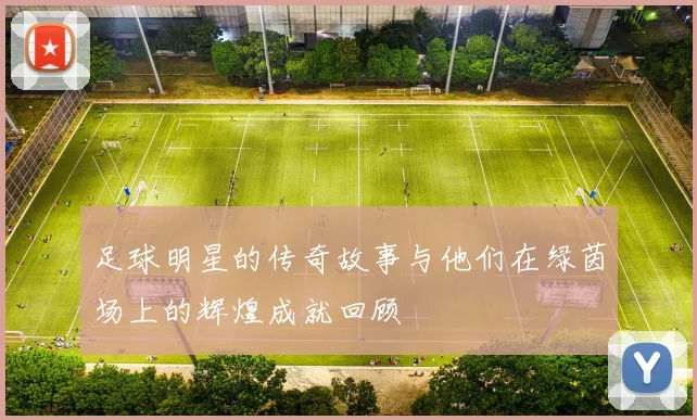 足球明星的传奇故事与他们在绿茵场上的辉煌成就回顾