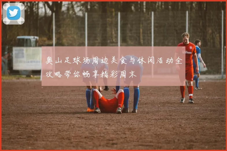 奥山足球场周边美食与休闲活动全攻略带你畅享精彩周末