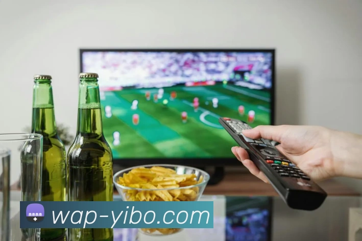 YIBO SPORTS官方平台生态图